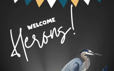 Welcome herons image
