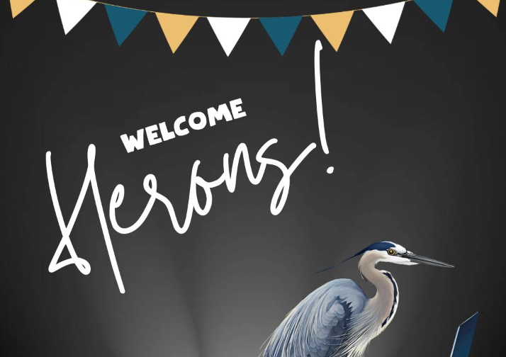 Welcome herons image